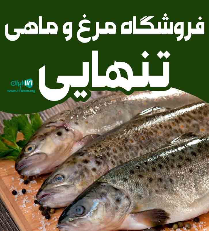 فروشگاه مرغ و ماهی تنهایی در سروآباد کردستان فروشگاه مرغ و ماهی تنهایی در سروآباد کردستان