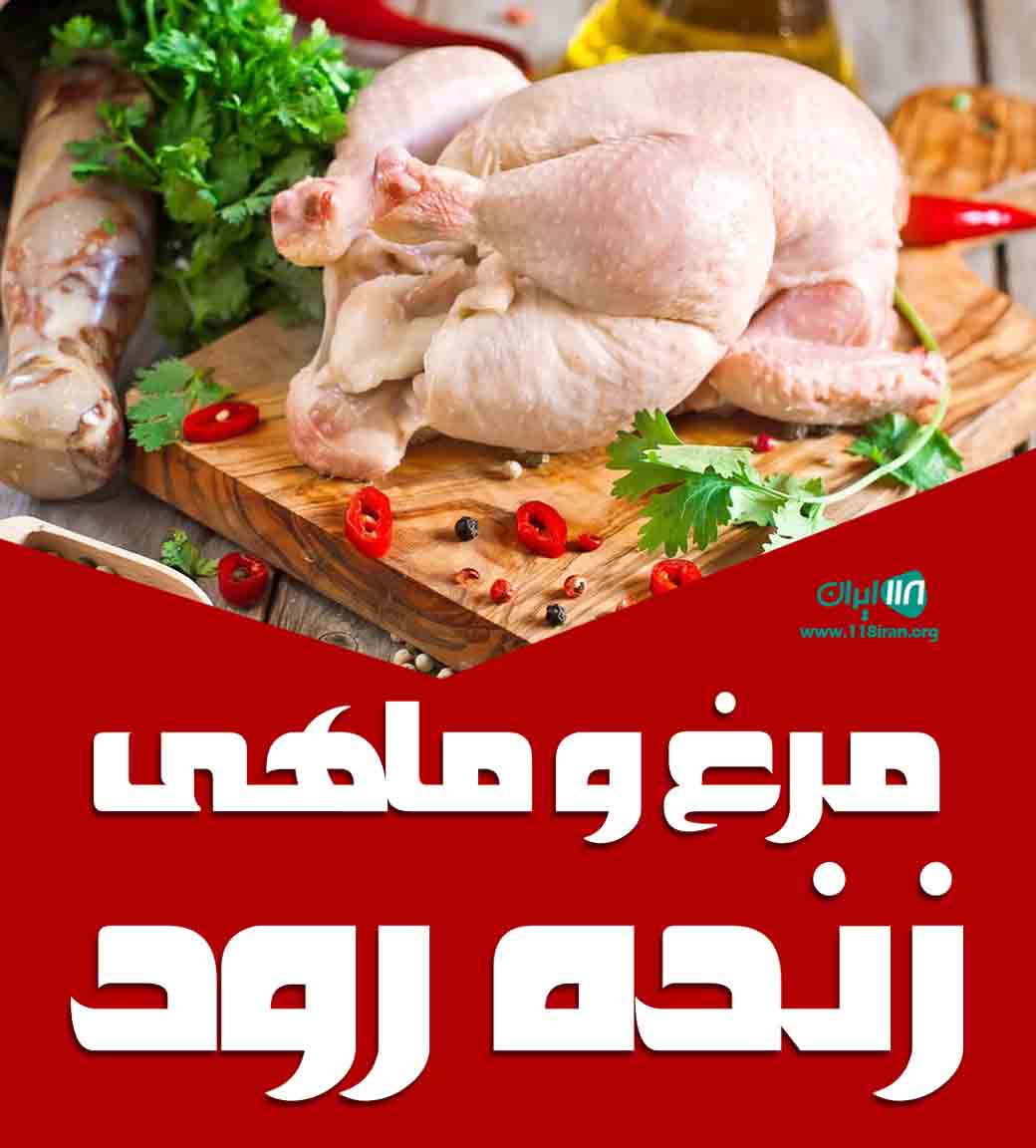 مرغ و ماهی زنده رود در فولادشهر