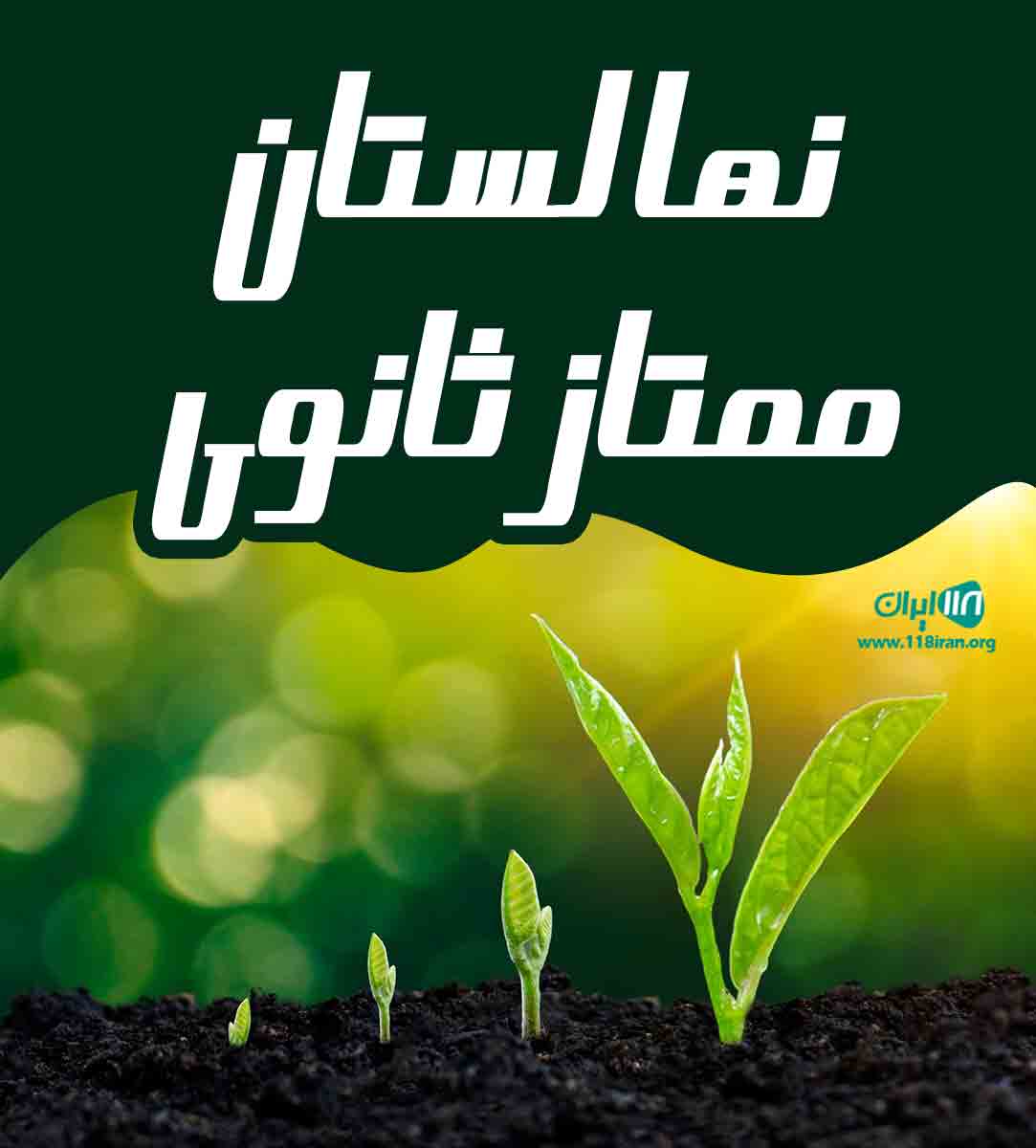 نهالستان ممتاز ثانوی در میاندورود