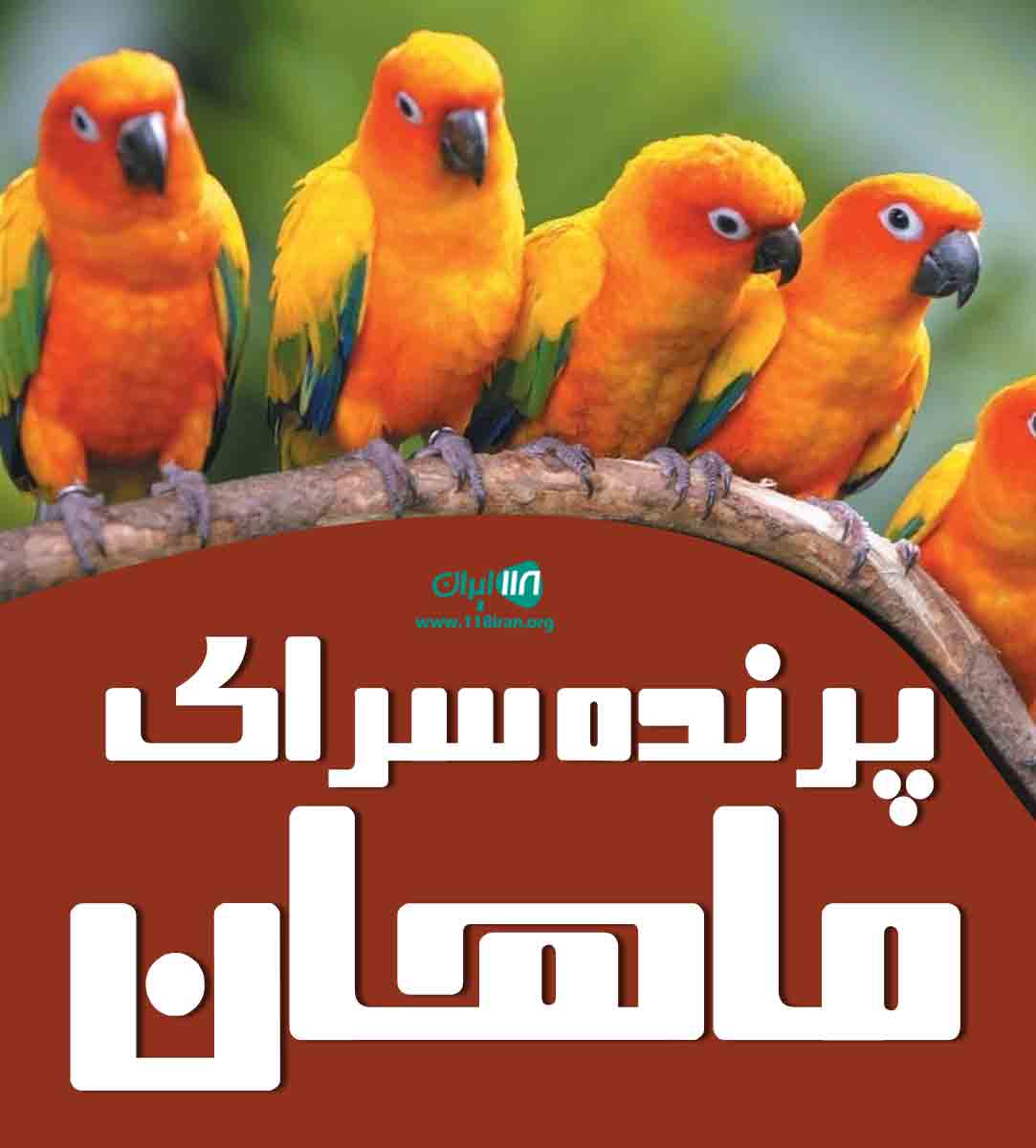 پرنده سرای ماهان در خوی ارومیه پرنده سرای ماهان در خوی ارومیه