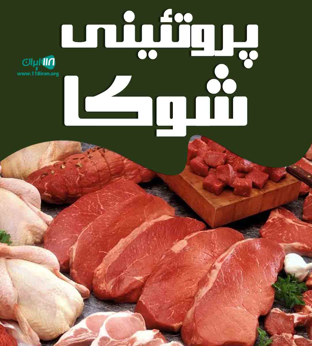 پروتئینی شوکا در گرگان پروتئینی شوکا در گرگان