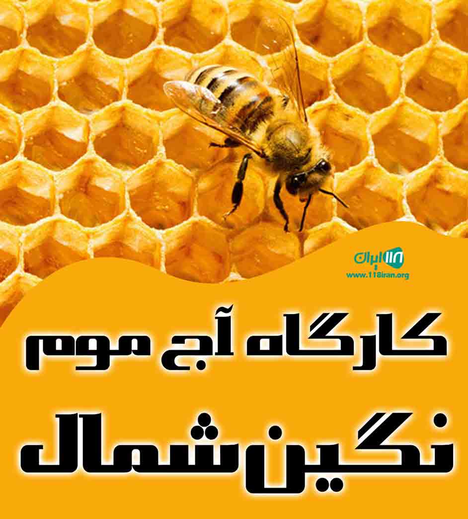 کارگاه آج موم نگین شمال در قائمشهر کارگاه آج موم نگین شمال در قائمشهر