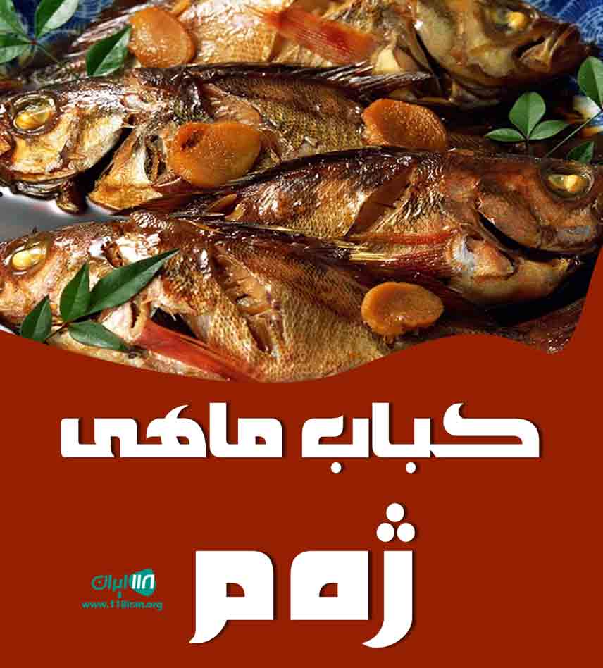 کباب ماهی ژه م در مریوان کباب ماهی ژه م در مریوان