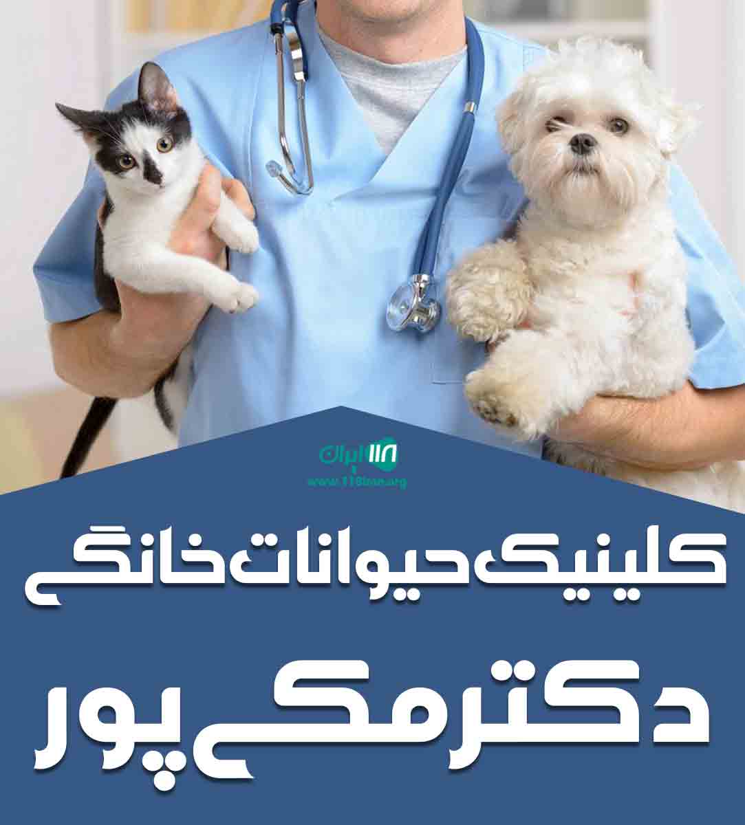 کلینیک حیوانات خانگی دکتر مکی پور در بندرماهشهر