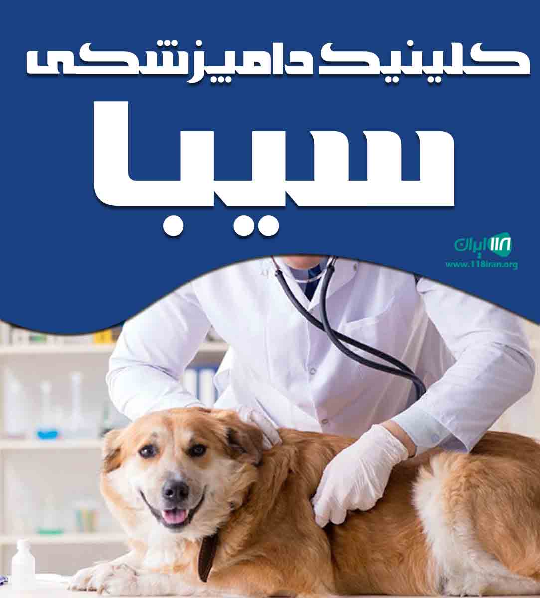 کلینیک دامپزشکی سیبا در بابلسر کلینیک دامپزشکی سیبا در بابلسر