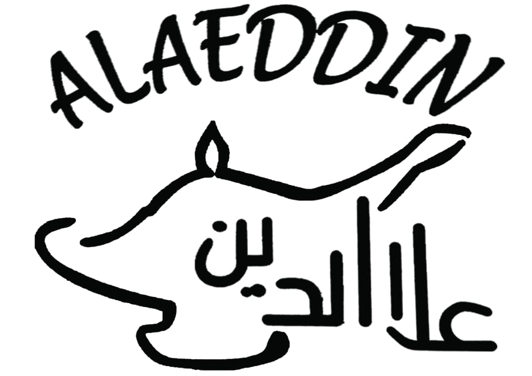 رستوران پیتزا علاءالدین در شیراز رستوران پیتزا علاءالدین در شیراز