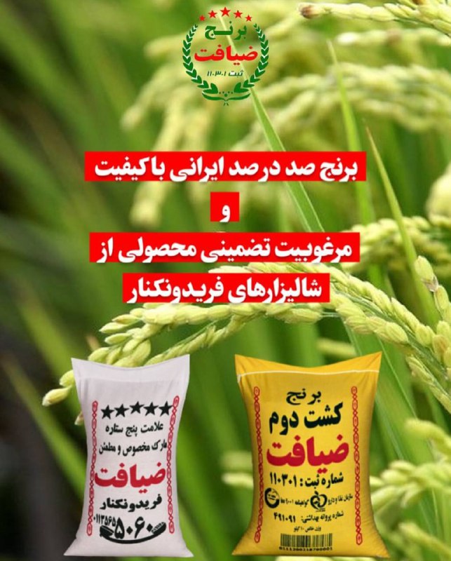 برنج ضیافت سعید نژاد در کرمان