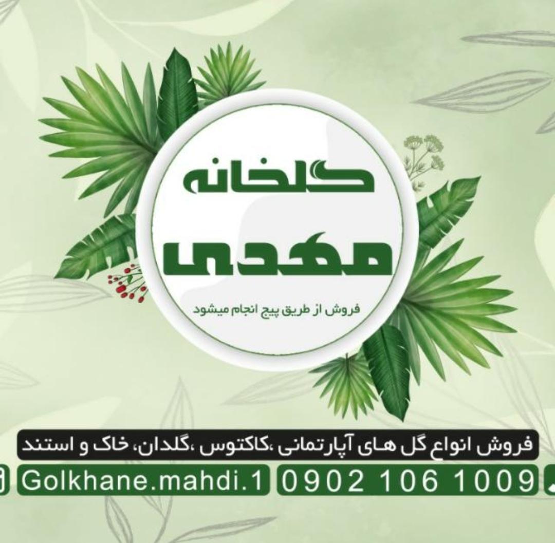 گلخانه مهدی در مبارکه اصفهان گلخانه مهدی در مبارکه اصفهان