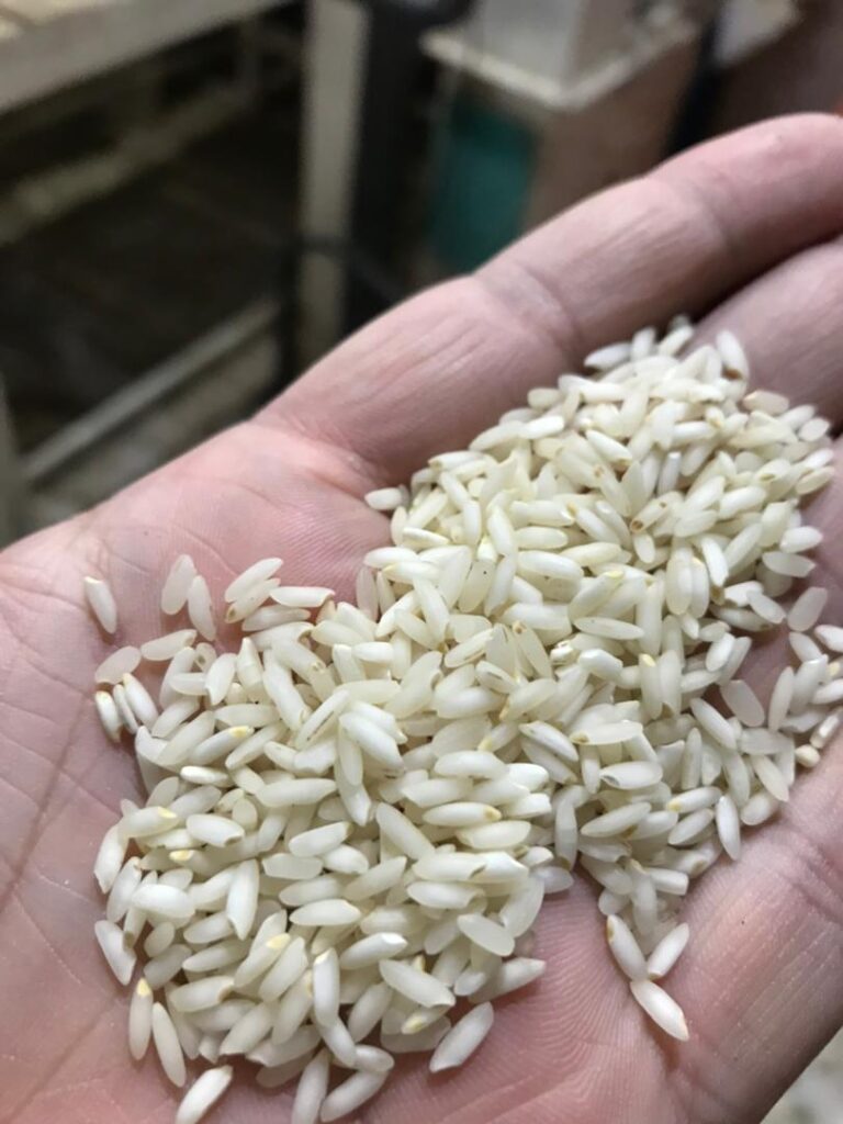 کارخانه صنایع تولیدی و بسته بندی برنج عموزاده در لشت نشاء کارخانه صنایع تولیدی و بسته بندی برنج عموزاده در لشت نشاء