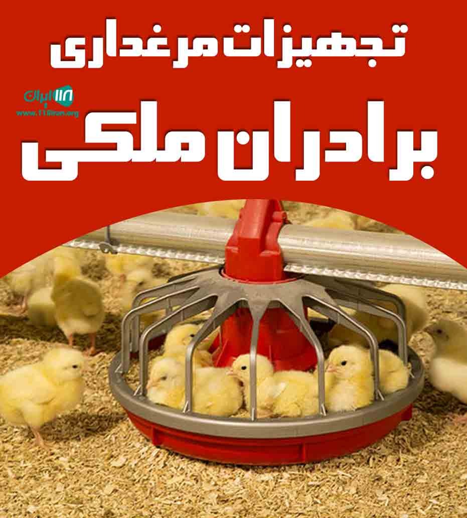 تجهیزات مرغداری برادران ملکی در قزوین