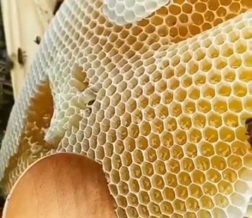 عسل آذربایجان رسول وهاب پور در مرند عسل آذربایجان رسول وهاب پور در مرند