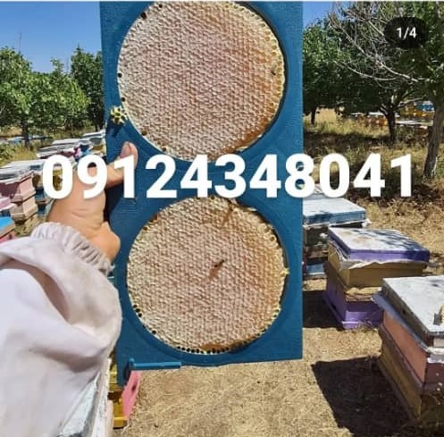 عسل آذربایجان رسول وهاب پور در مرند عسل آذربایجان رسول وهاب پور در مرند