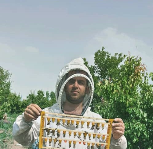 عسل آذربایجان رسول وهاب پور در مرند عسل آذربایجان رسول وهاب پور در مرند