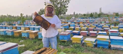 عسل آذربایجان رسول وهاب پور در مرند عسل آذربایجان رسول وهاب پور در مرند
