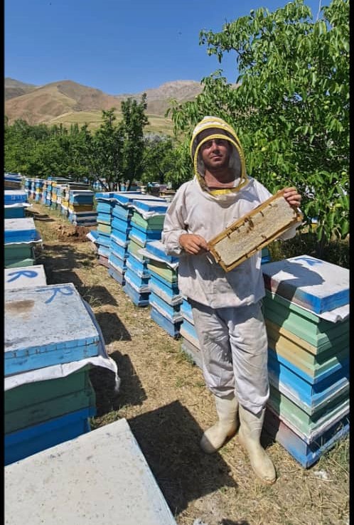 عسل آذربایجان رسول وهاب پور در مرند عسل آذربایجان رسول وهاب پور در مرند