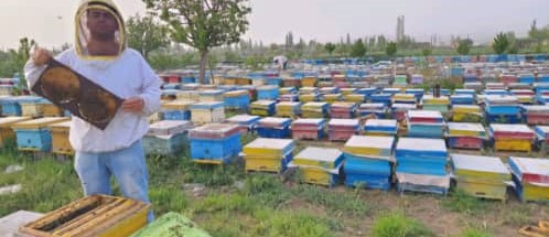 عسل آذربایجان رسول وهاب پور در مرند عسل آذربایجان رسول وهاب پور در مرند