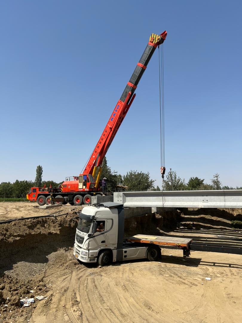 جرثقیل عقاب در میاندوآب جرثقیل عقاب در میاندوآب