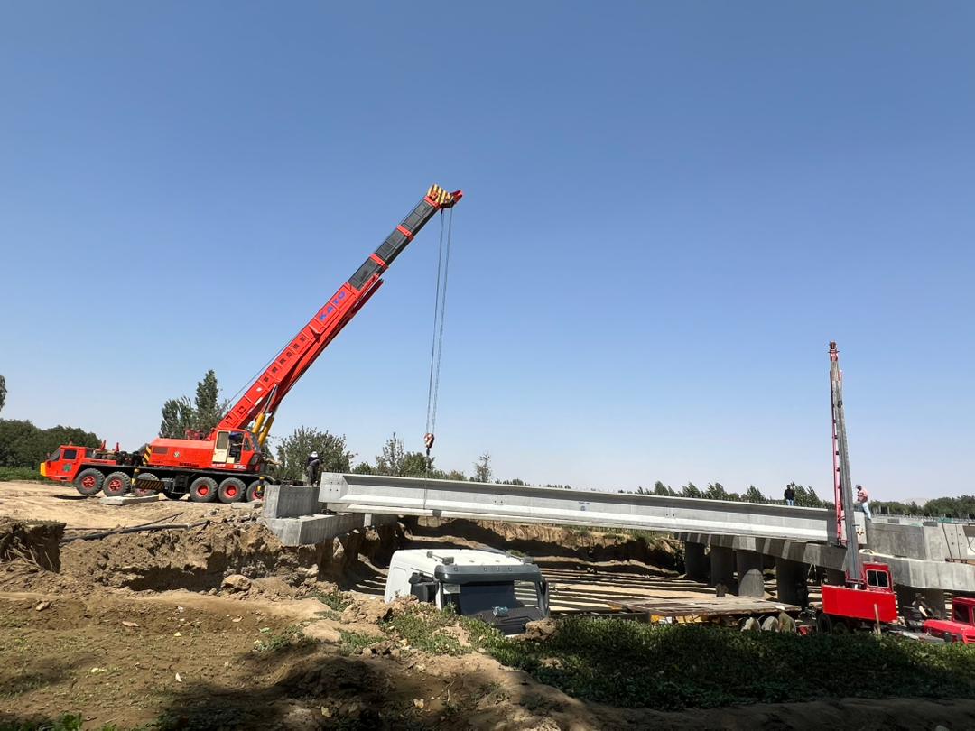 جرثقیل عقاب در میاندوآب جرثقیل عقاب در میاندوآب