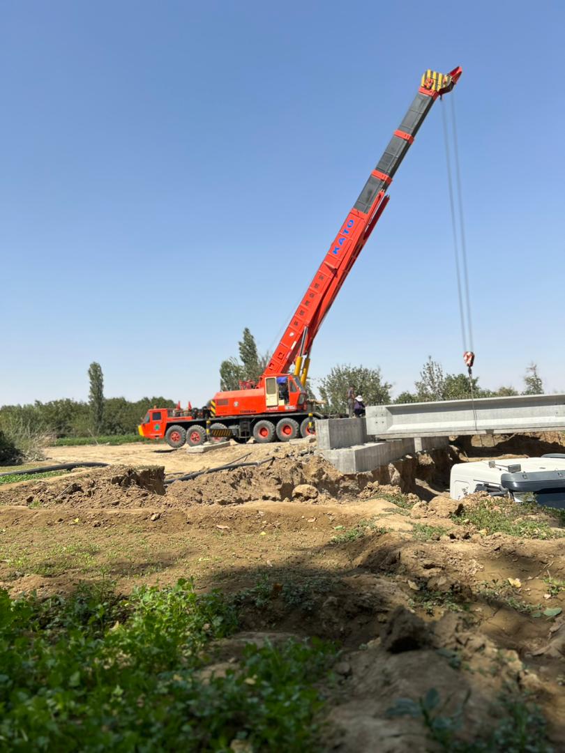 جرثقیل عقاب در میاندوآب جرثقیل عقاب در میاندوآب