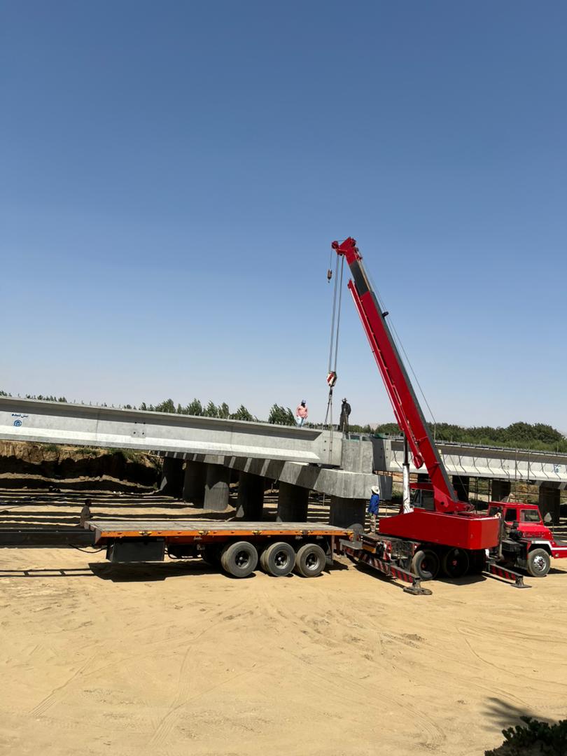 جرثقیل عقاب در میاندوآب جرثقیل عقاب در میاندوآب