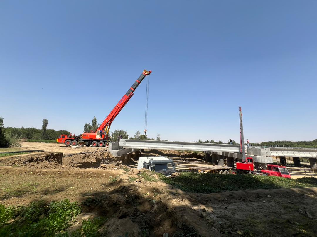 جرثقیل عقاب در میاندوآب جرثقیل عقاب در میاندوآب