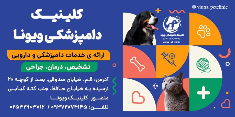 کلینیک دامپزشکی ویونا در قم کلینیک دامپزشکی ویونا در قم