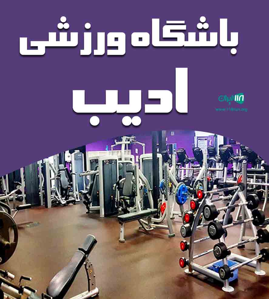 باشگاه ورزشی ادیب در اهواز