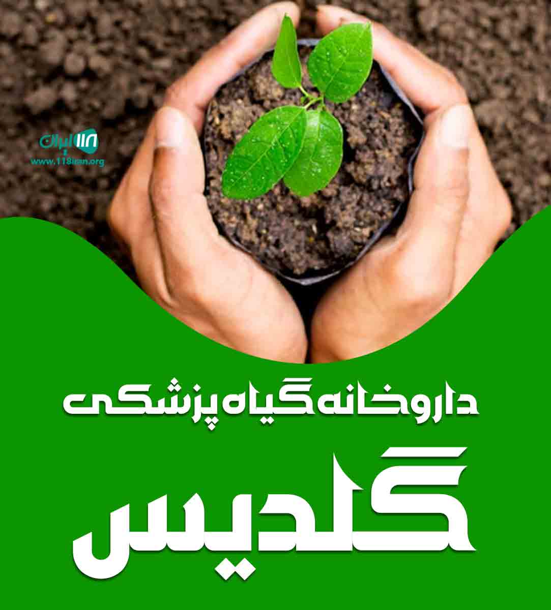 داروخانه گیاه پزشکی گلدیس در شبستر