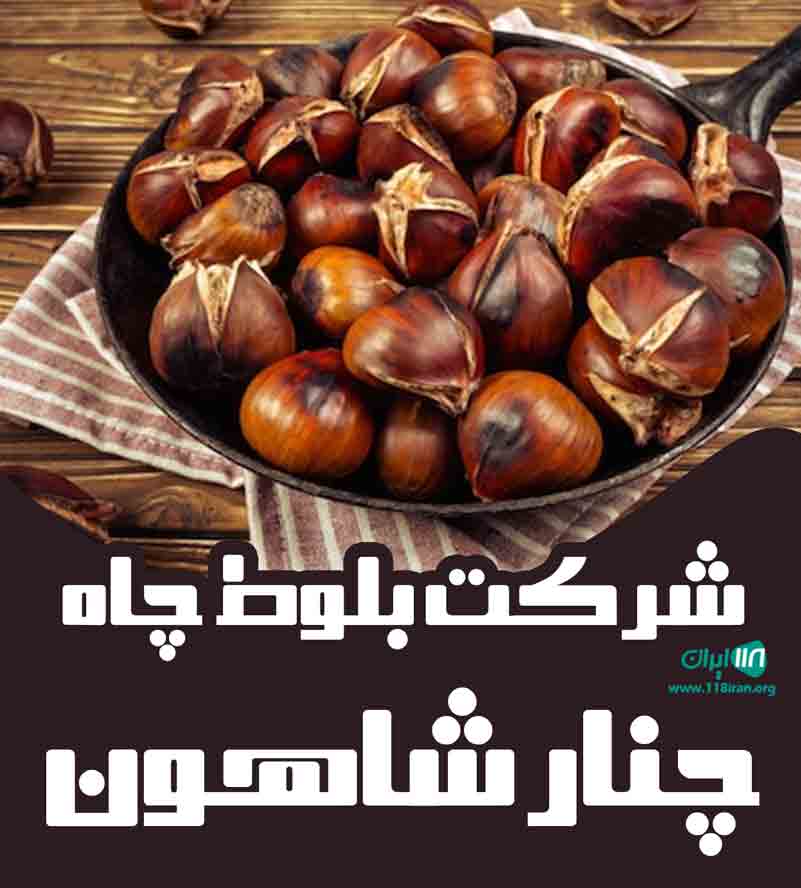 شرکت بلوط چاه چنار شاهون