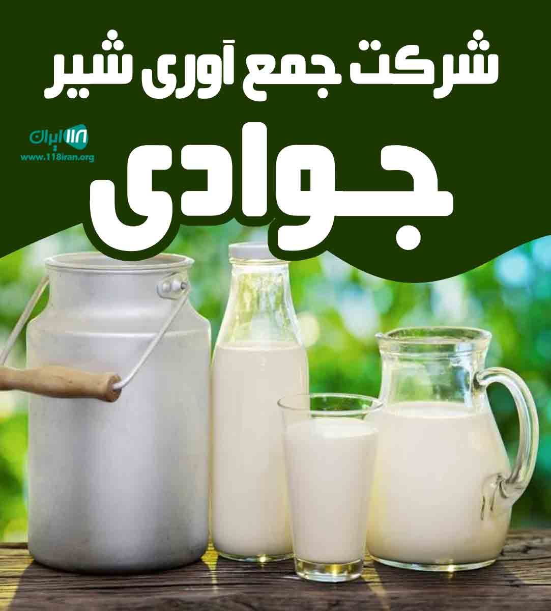 شرکت جمع آوری شیر جوادی در میاندوآب شرکت جمع آوری شیر جوادی در میاندوآب