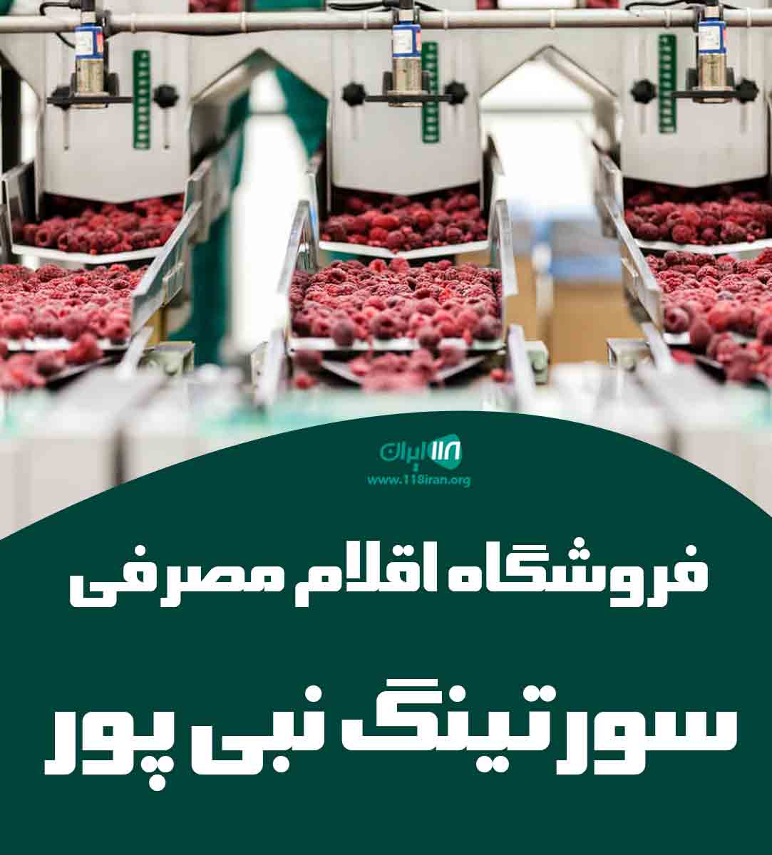 فروشگاه اقلام مصرفی سورتینگ نبی پور در قائمشهر فروشگاه اقلام مصرفی سورتینگ نبی پور در قائمشهر