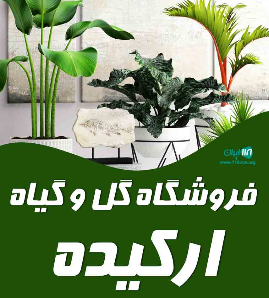 فروشگاه گل و گیاه ارکیده در تهران