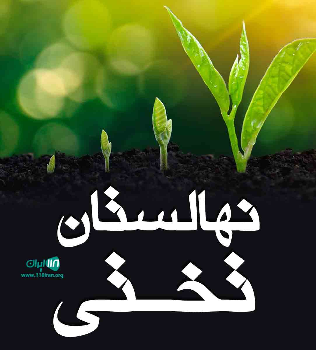 نهالستان تختی در اردبیل نهالستان تختی در اردبیل