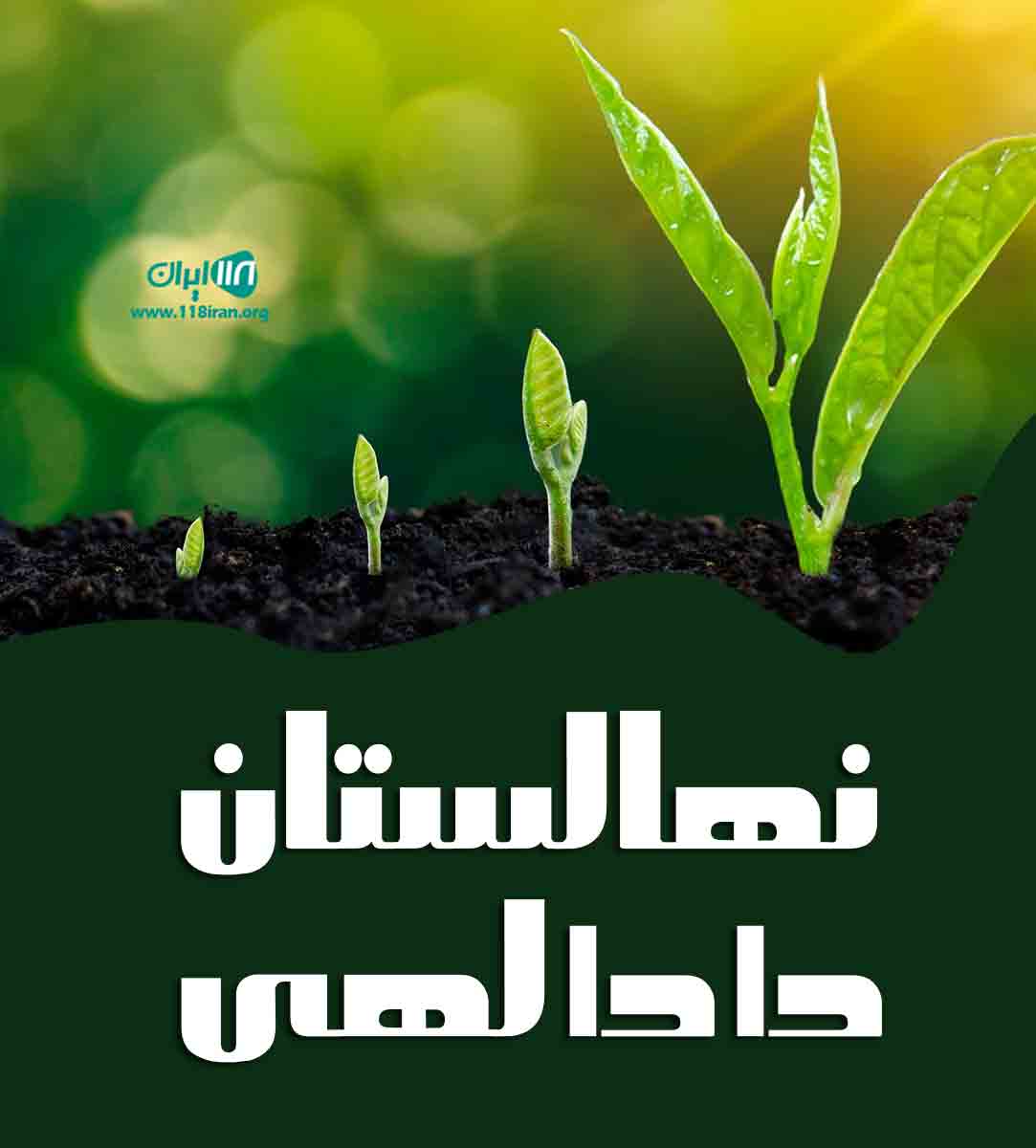 نهالستان دادالهی در کوشک مور کرمان