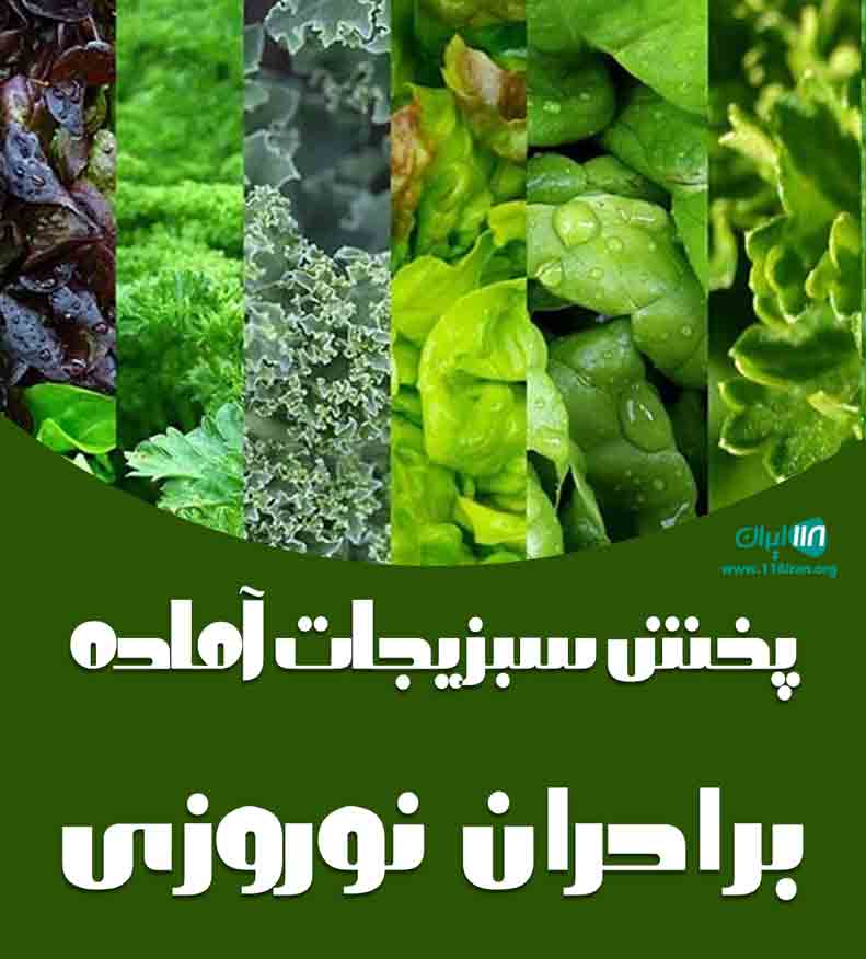 پخش سبزیجات آماده برادران نوروزی در قزوین پخش سبزیجات آماده برادران نوروزی در قزوین