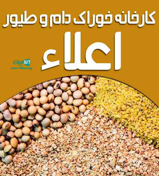 کارخانه خوراک دام و طیور اعلاء در بناب کارخانه خوراک دام و طیور اعلاء در بناب