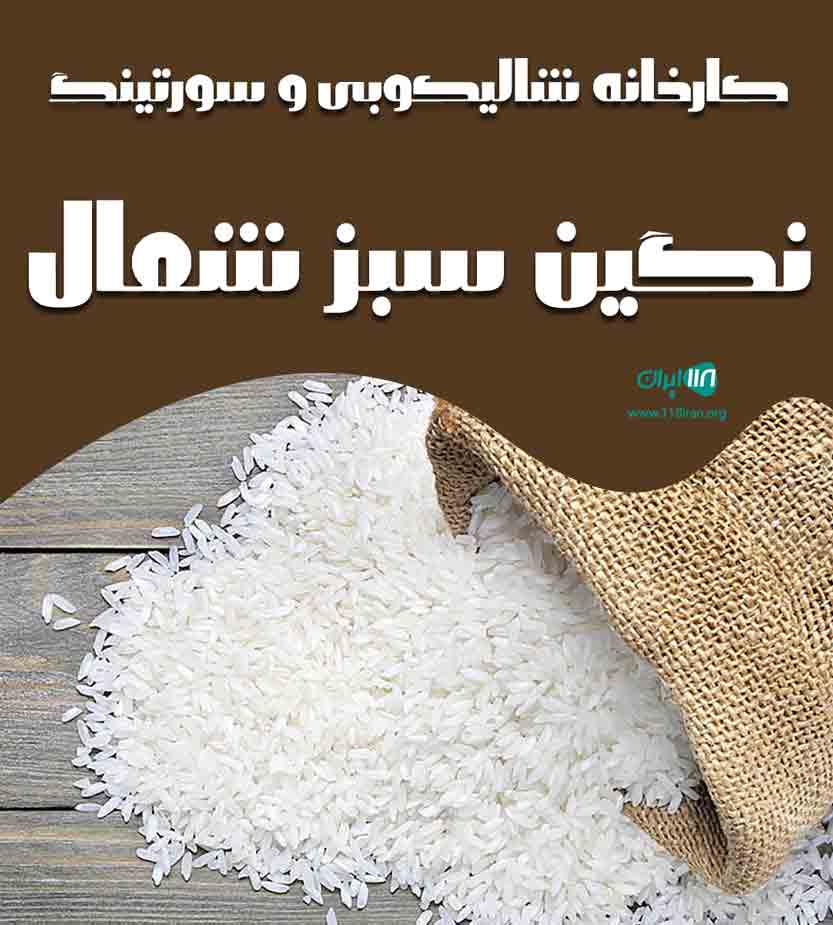 کارخانه شالیکوبی و سورتینگ نگین سبز شمال در بابل