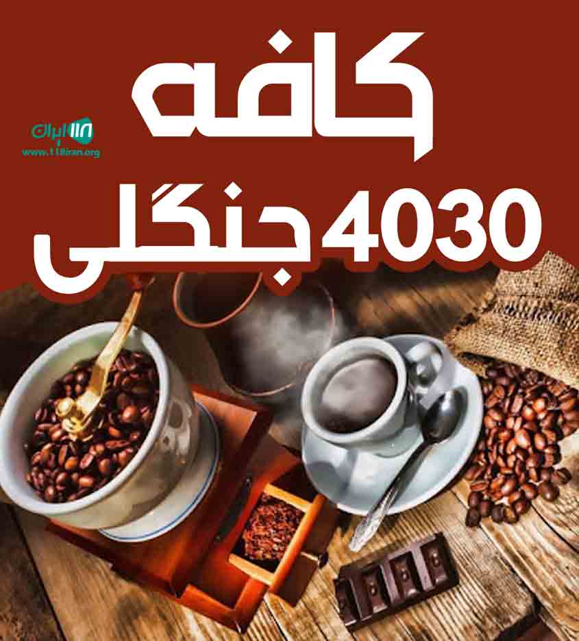 کافه ۴۰۳۰ جنگلی در عباس آباد