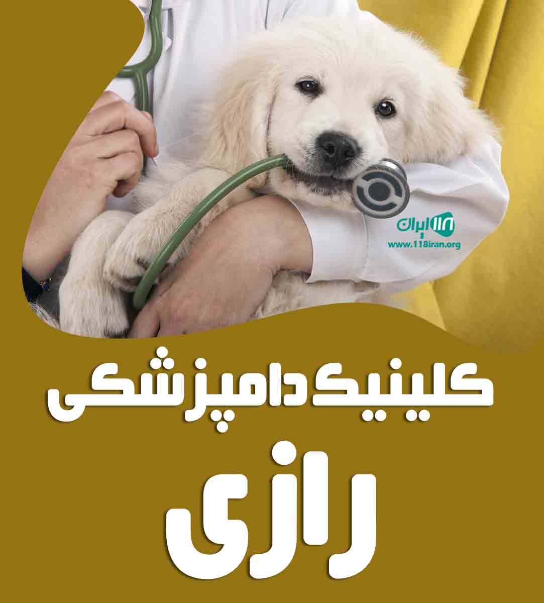 کلینیک دامپزشکی رازی در میاندوآب کلینیک دامپزشکی رازی در میاندوآب