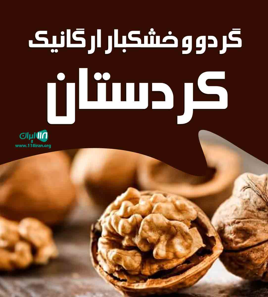 گردو و خشکبار ارگانیک کردستان در سقز