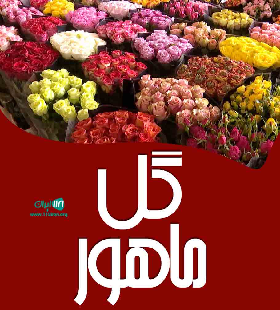 گل ماهور در مشهد