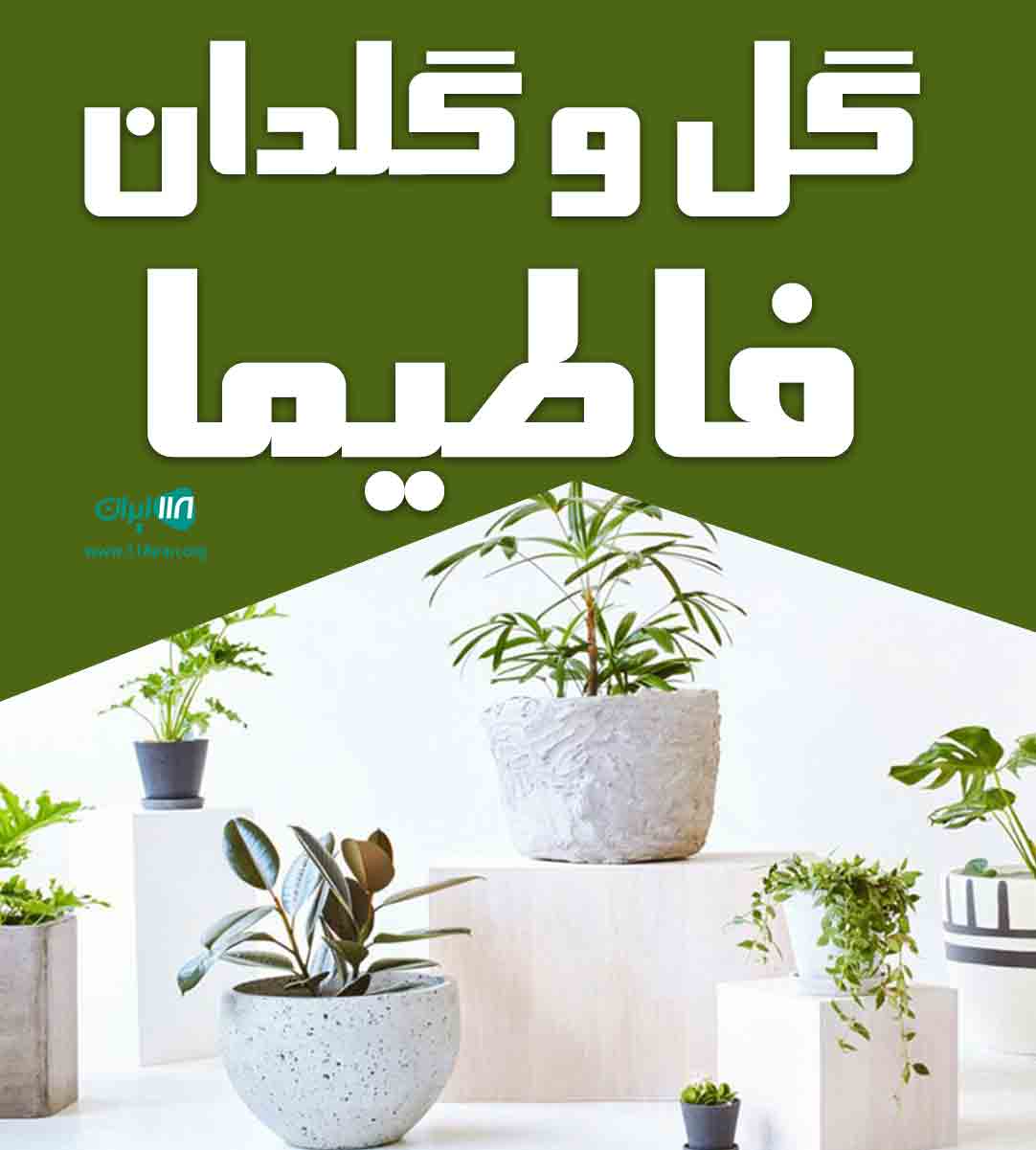 گل و گلدان فاطیما در رشت گل و گلدان فاطیما در رشت