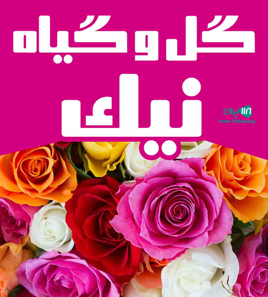 گل و گیاه نیک در عباس آباد گل و گیاه نیک در عباس آباد
