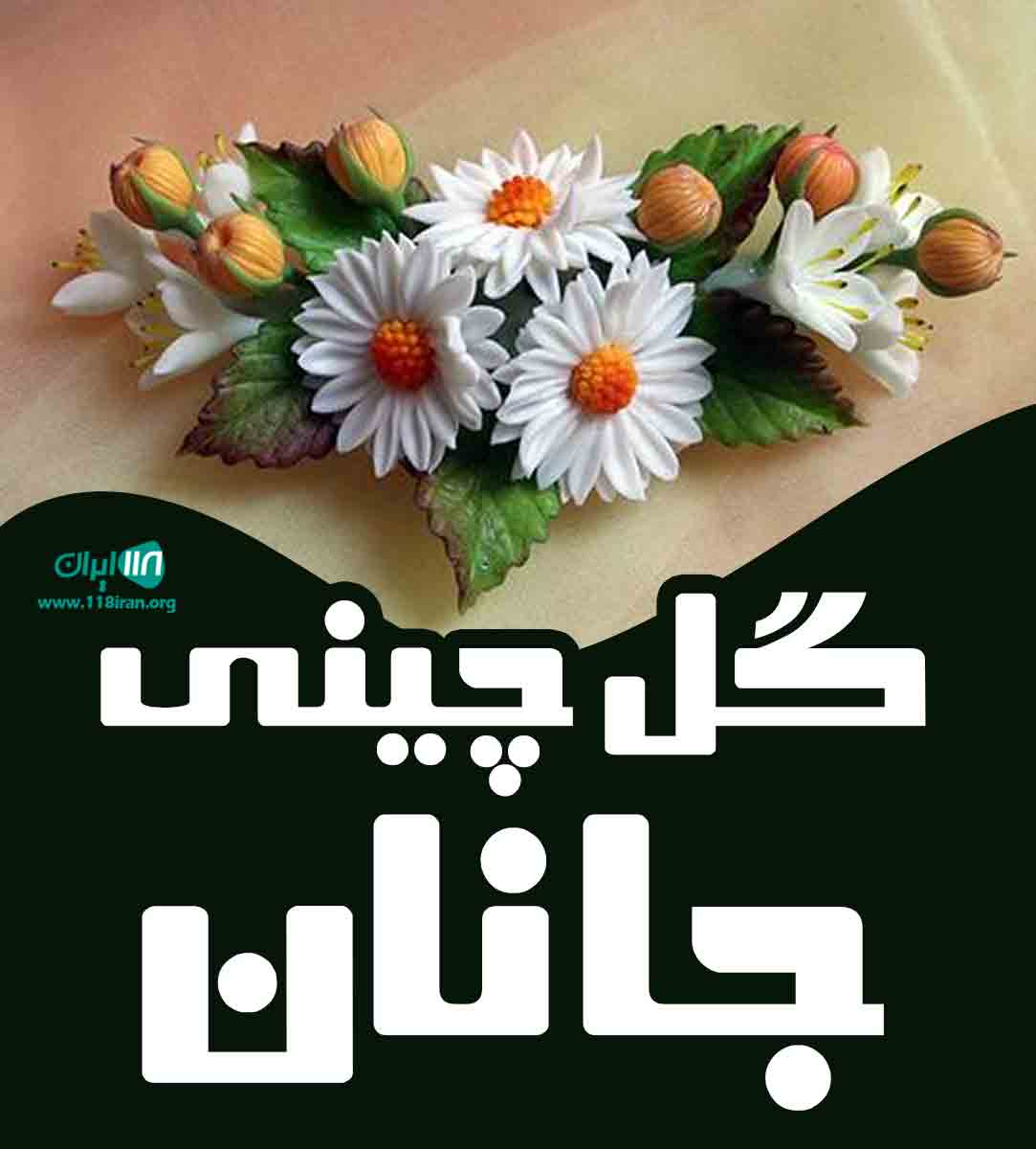 گل چینی جانان در کرج