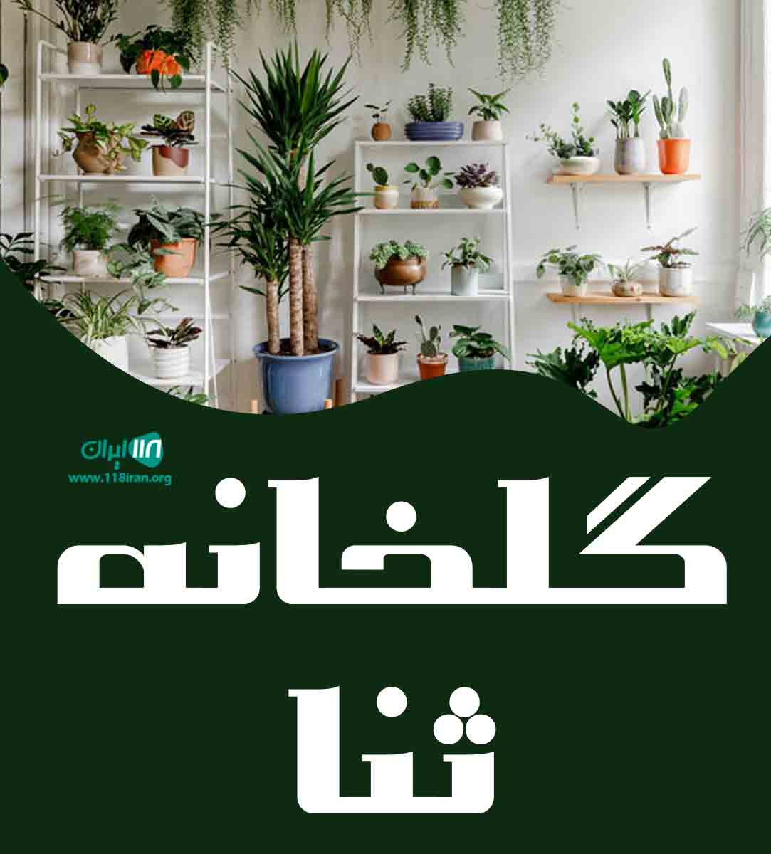 گلخانه ثنا در آمل