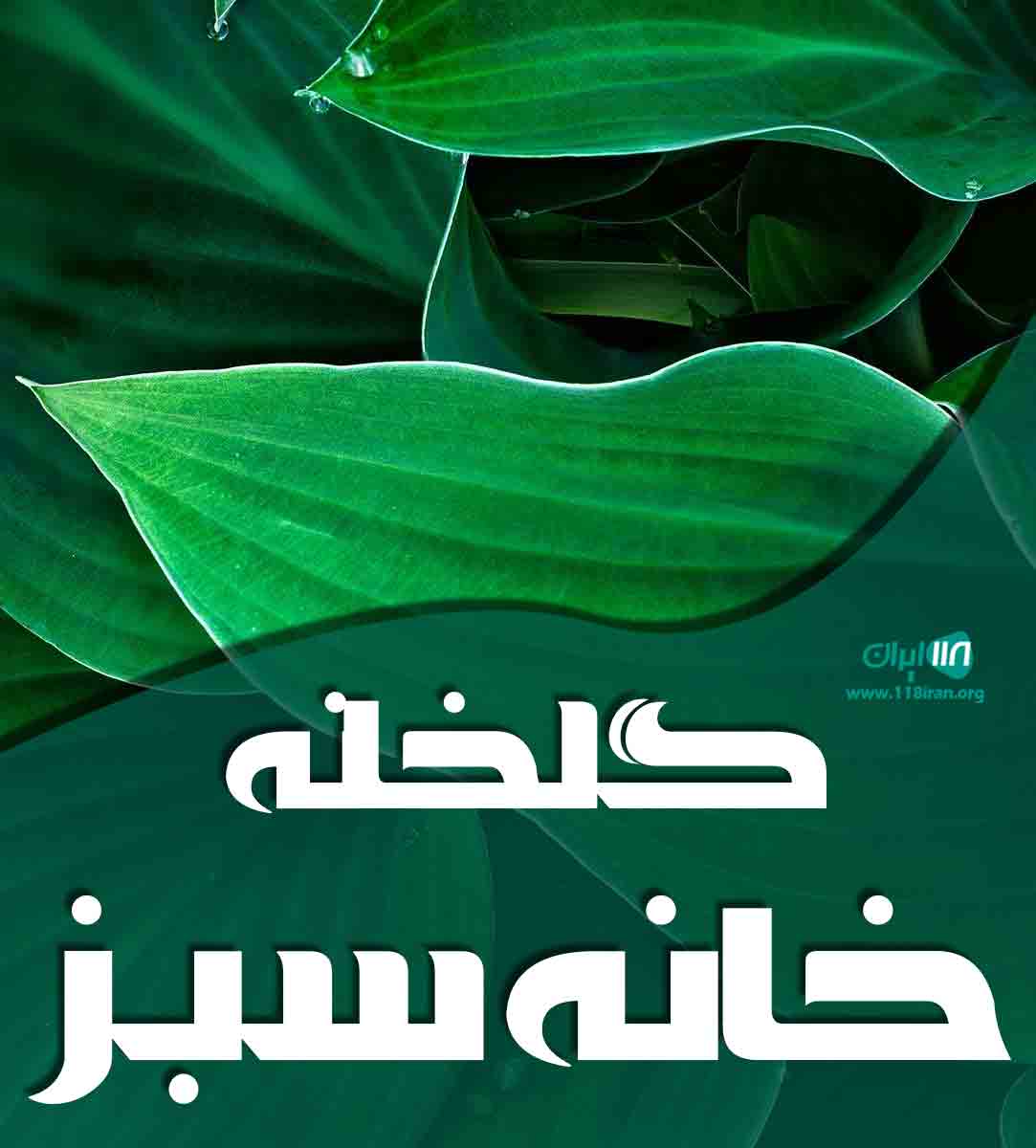 گلخانه خانه سبز در اطاقور لنگرود