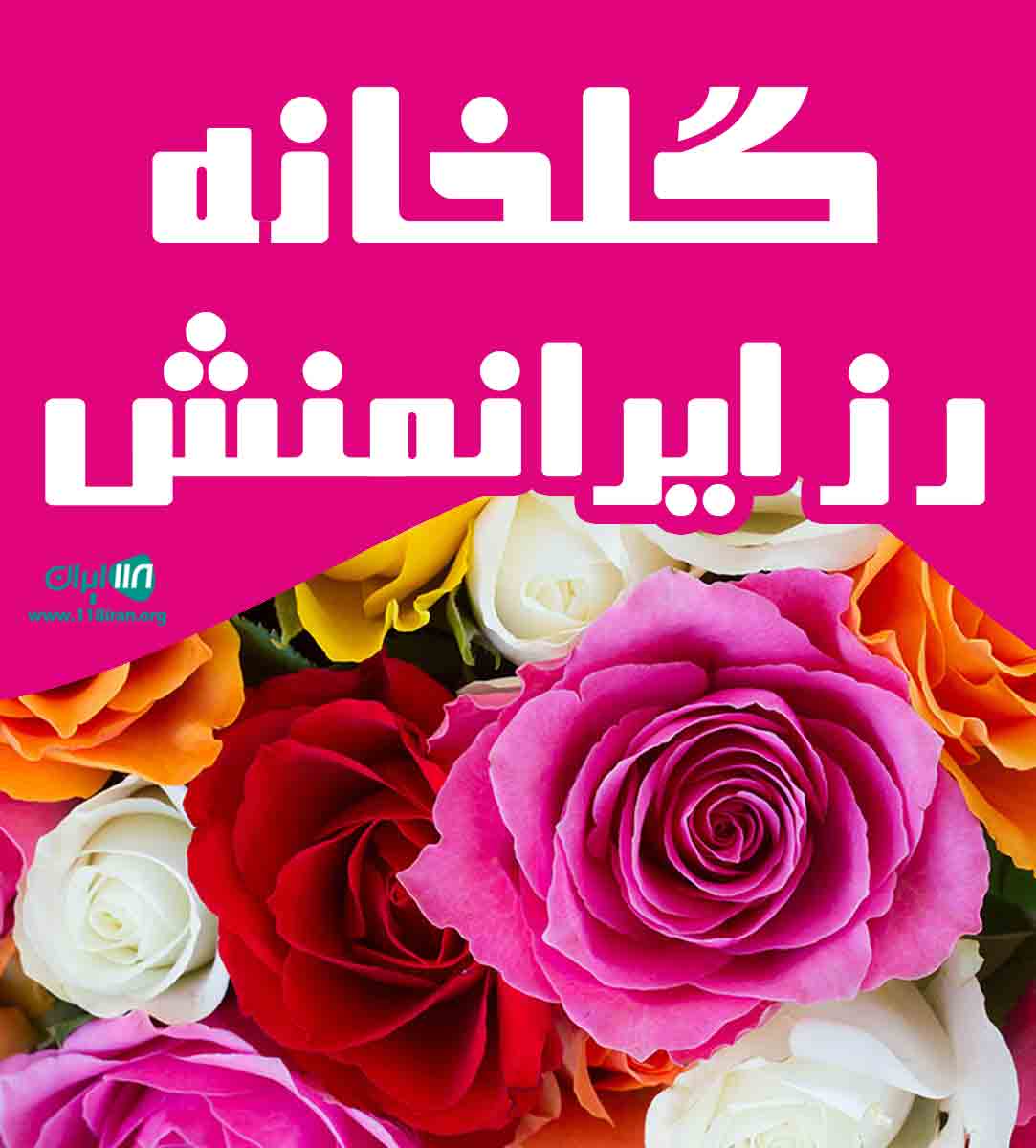 گلخانه رز ایرانمنش در زرند گلخانه رز ایرانمنش در زرند