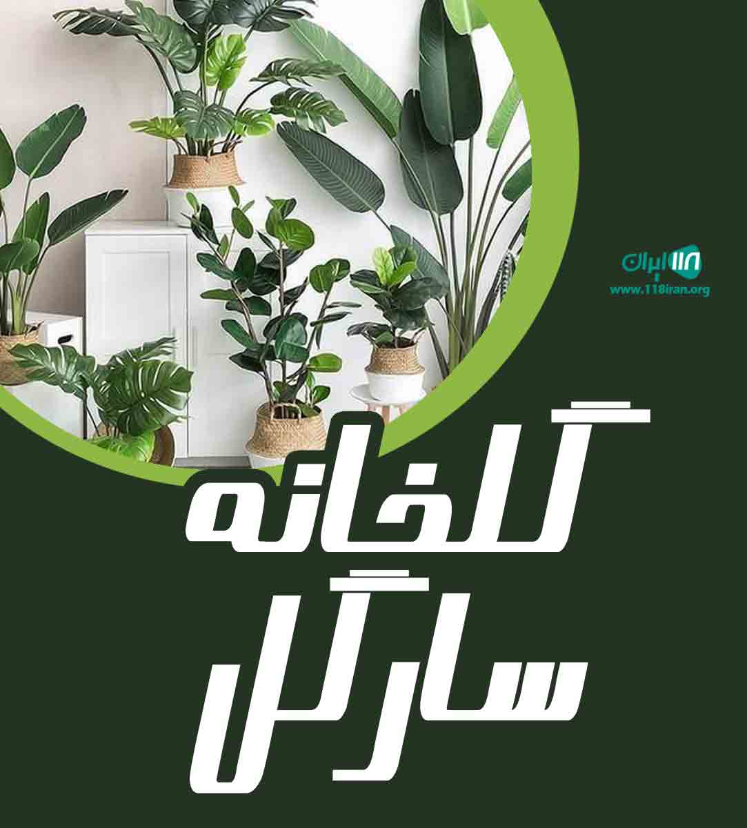 گلخانه سارگل در رودسر گلخانه سارگل در رودسر