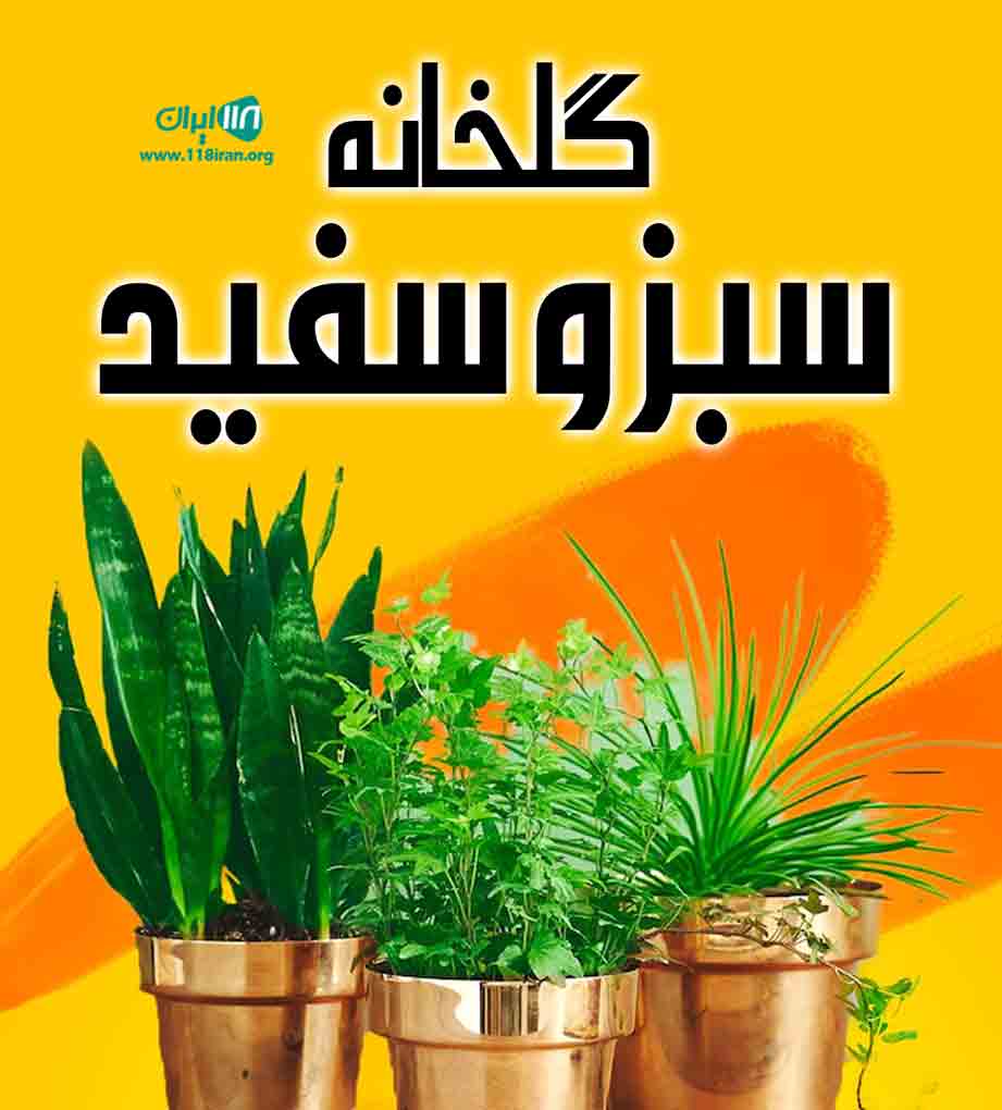 گلخانه سبز و سفید در دزفول گلخانه سبز و سفید در دزفول