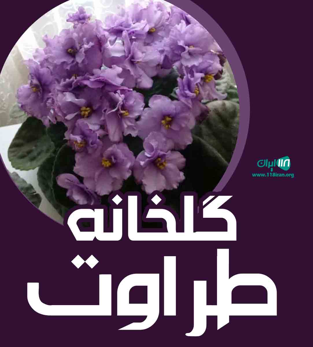 گلخانه طراوت در بابل گلخانه طراوت در بابل